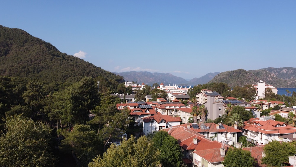 Surroundings