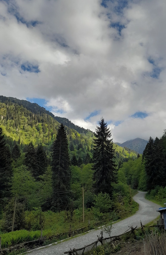 View from room