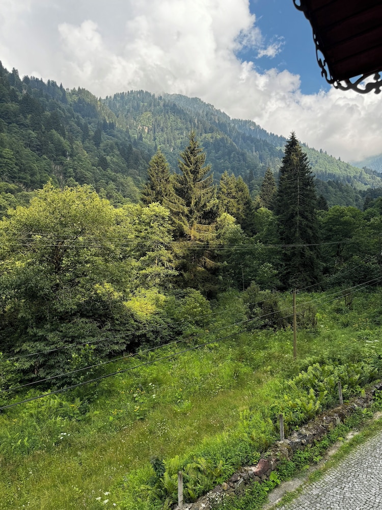 View from room