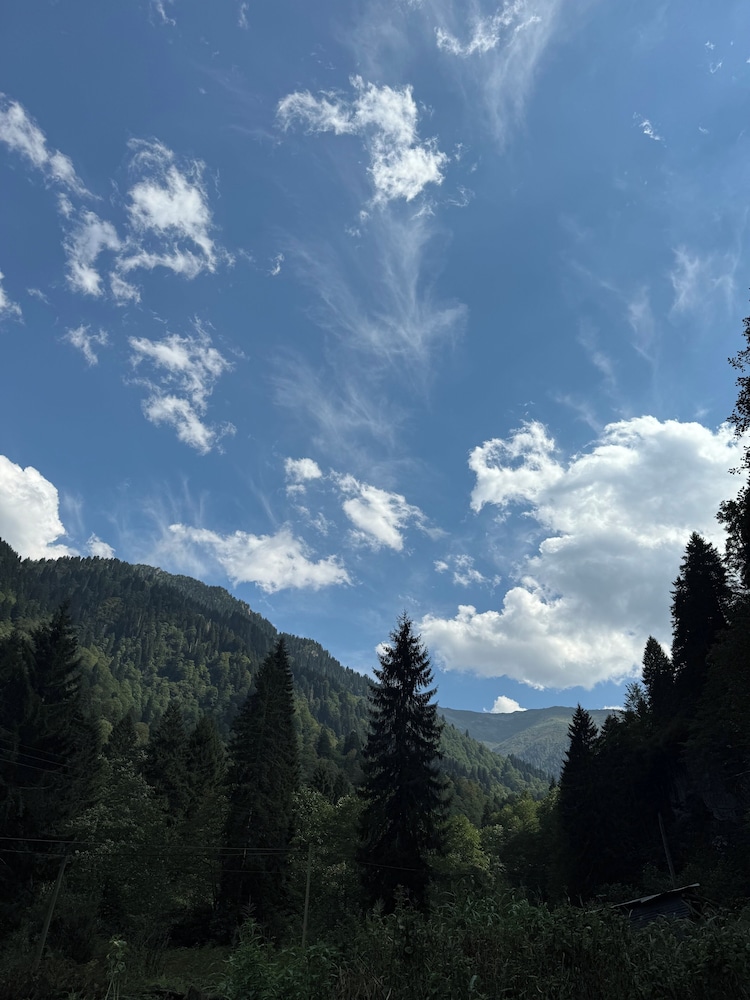 View from room