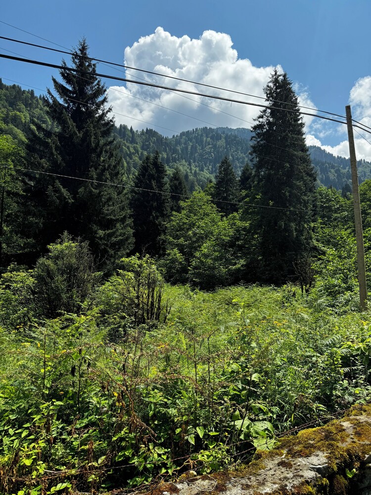 Mountain view