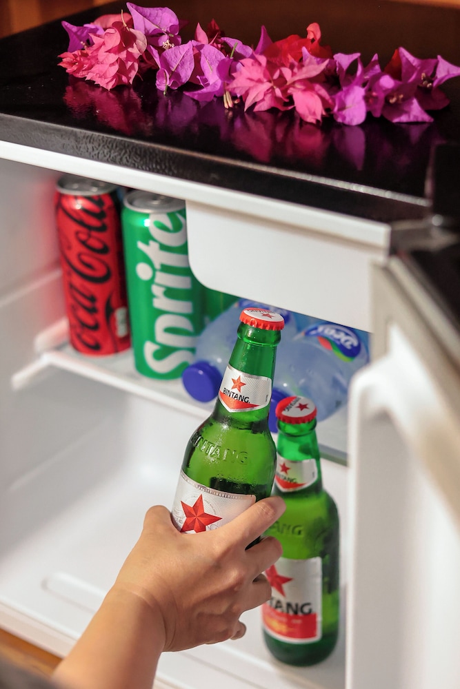 Mini-refrigerator
