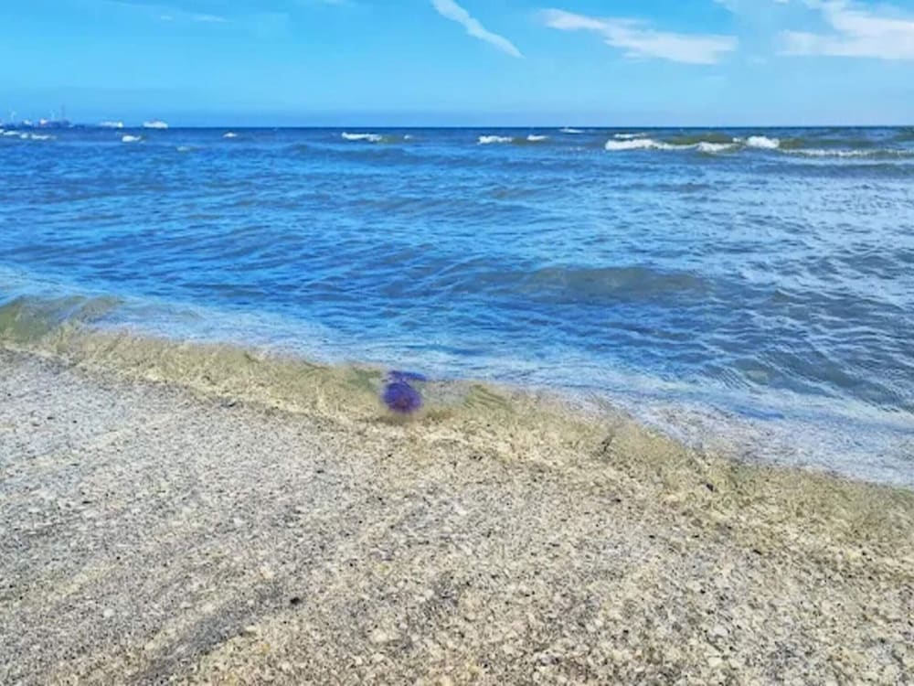 Water view