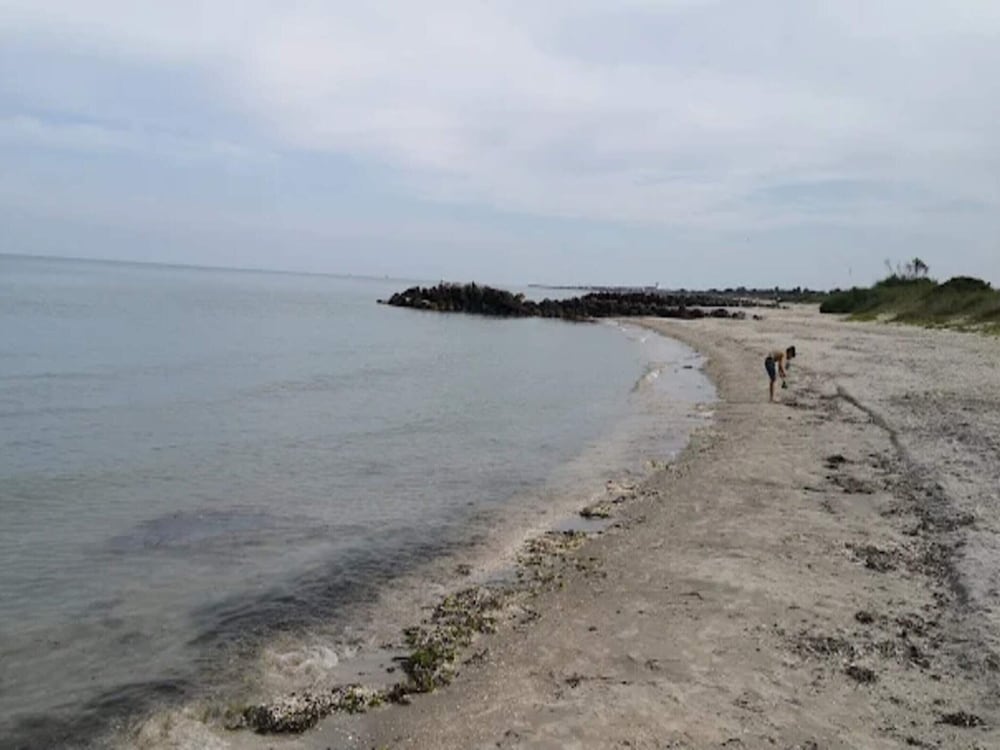 Water view