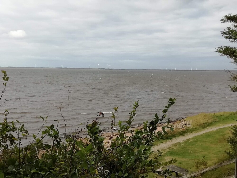 Water view