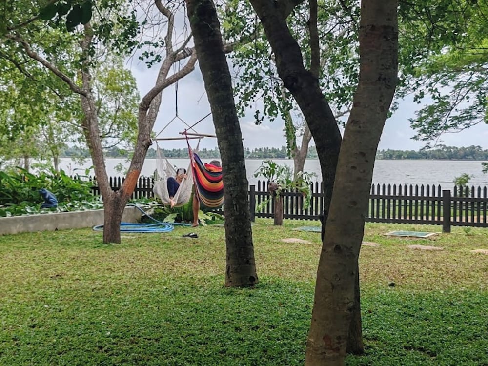 Garden view