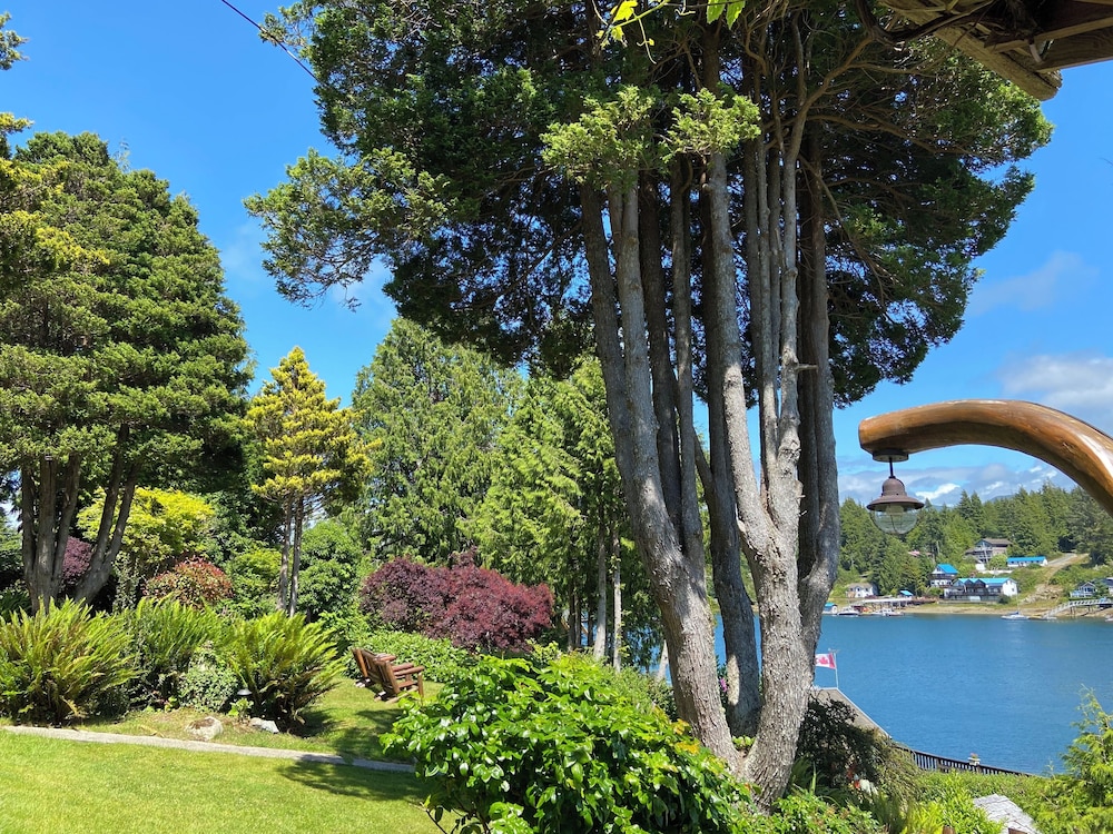 Garden view