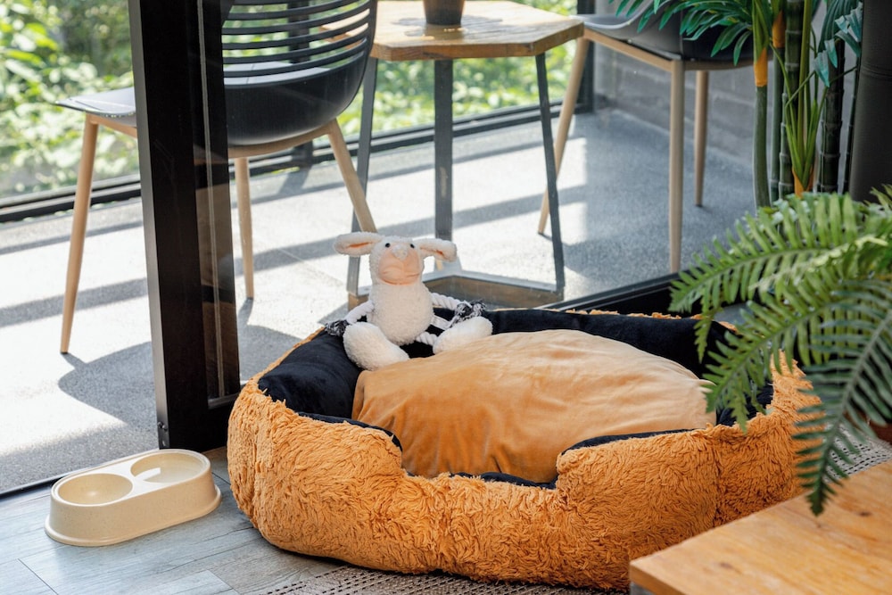 Pet-friendly amenities
