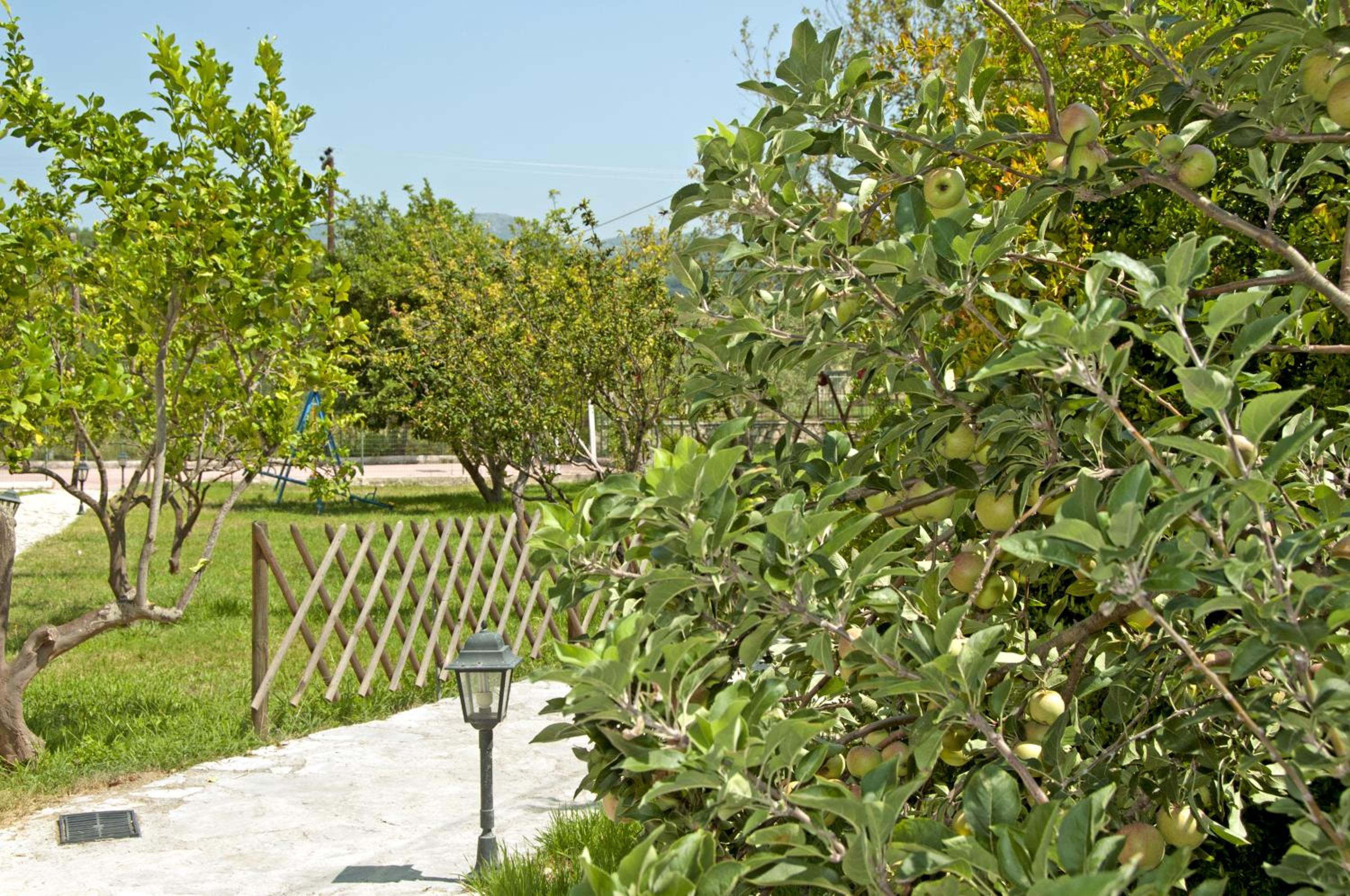 Surroundings