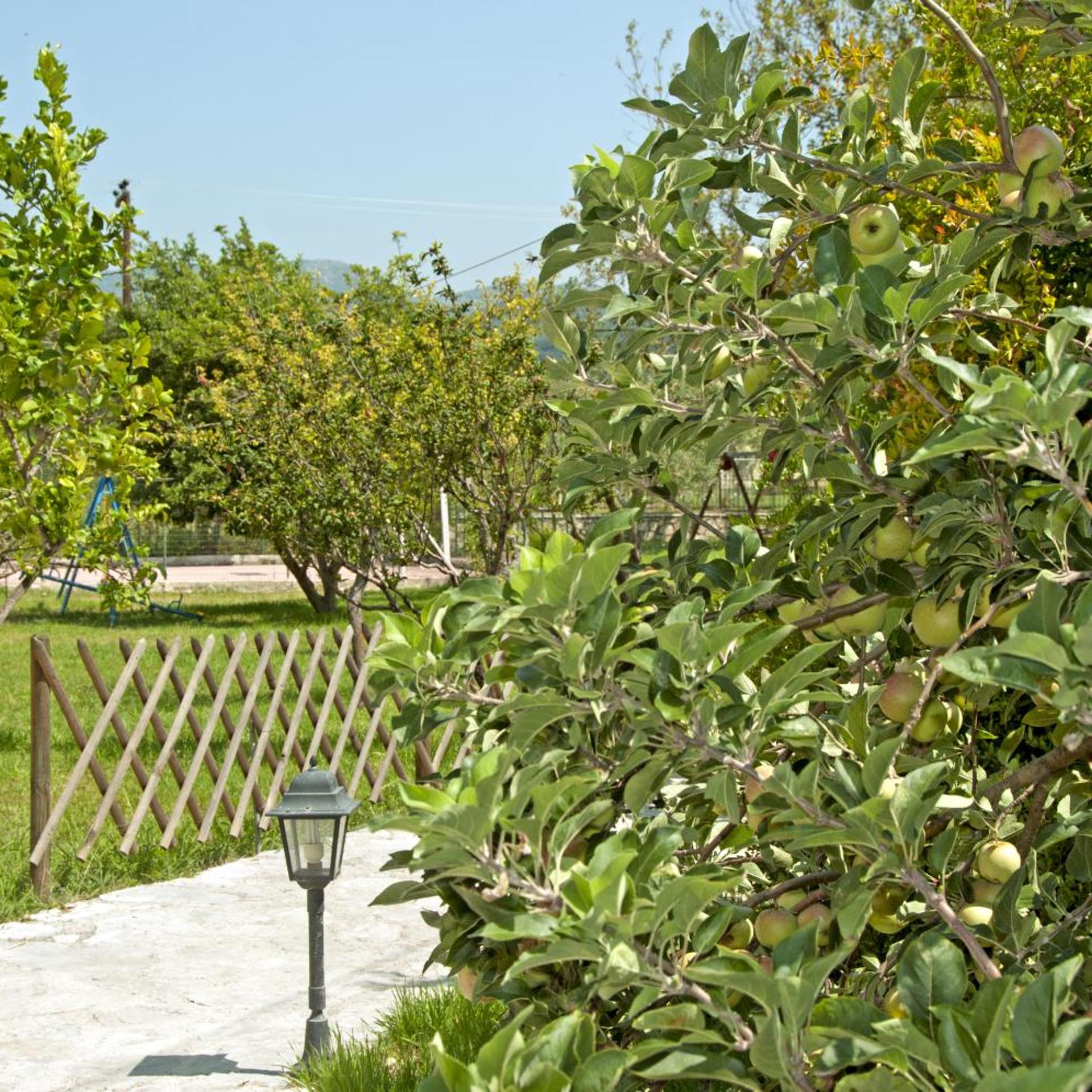Surroundings
