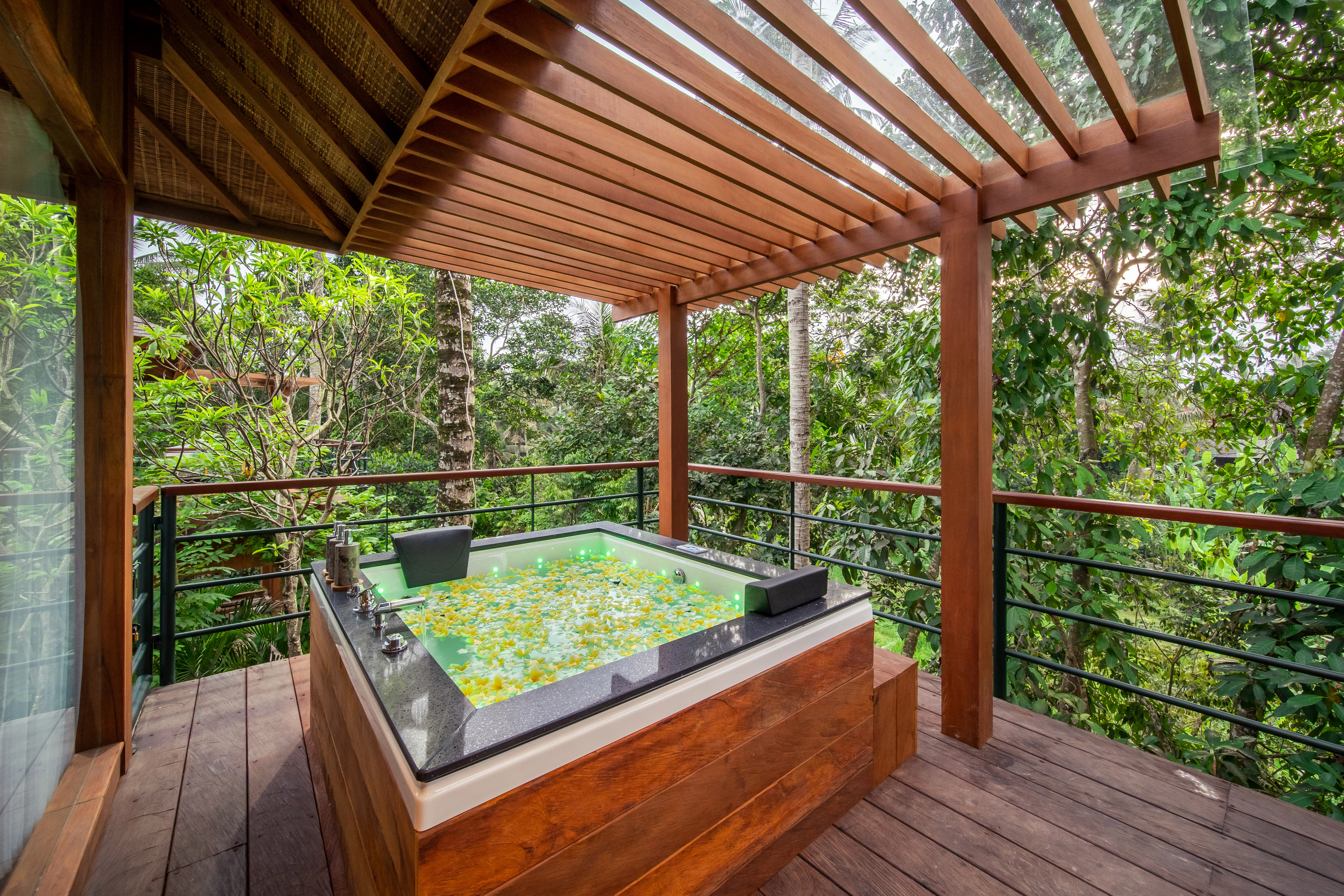 Swimming pool-spa