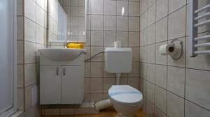 thumbnail: 520244369.jpg