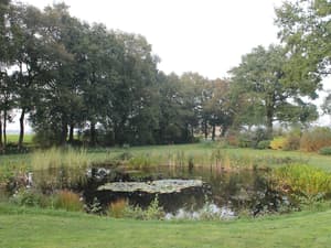 thumbnail: Garden