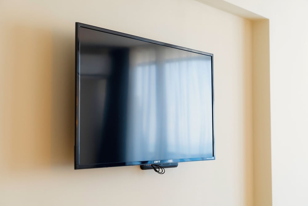 Television
