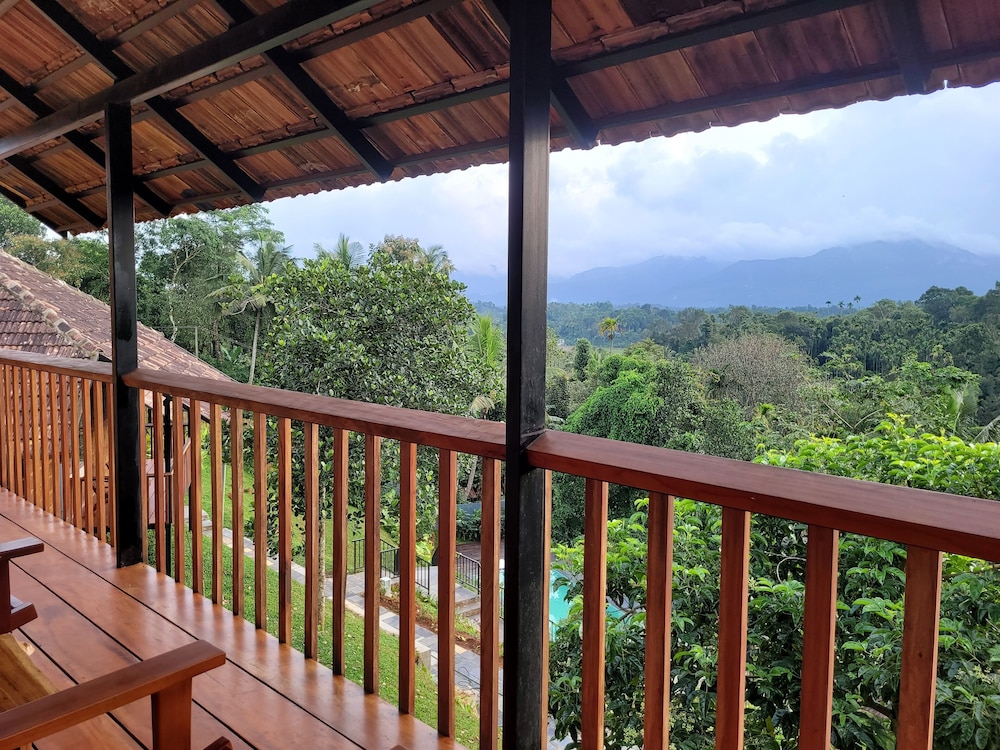 View from room