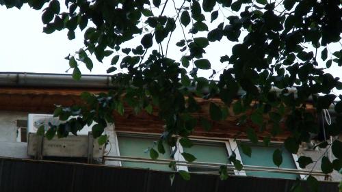 200456029.jpg