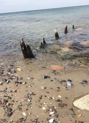 thumbnail: Beach