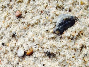 thumbnail: Miscellaneous