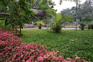 thumbnail: Property grounds