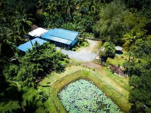 thumbnail: Property grounds