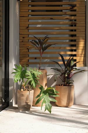thumbnail: Terrace/patio