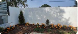 thumbnail: Garden view