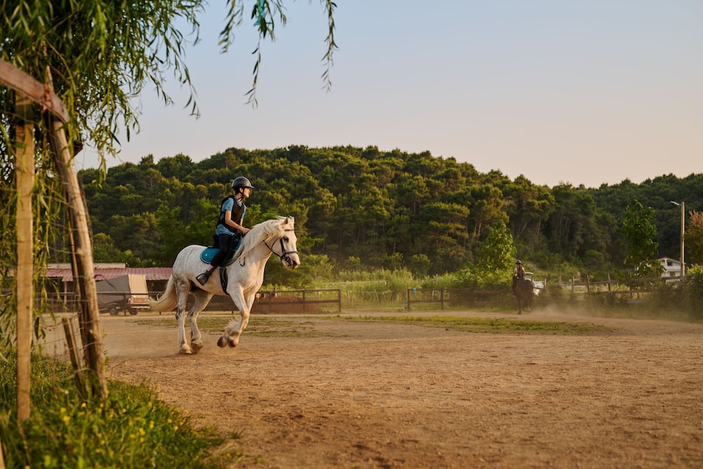 Horseback riding