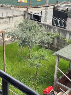 thumbnail: Garden view