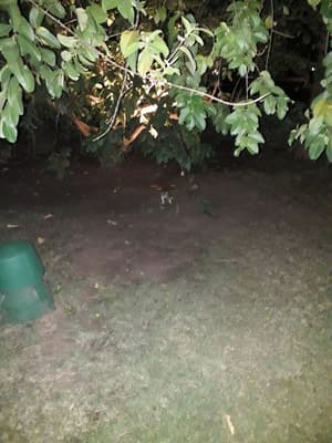thumbnail: Property grounds
