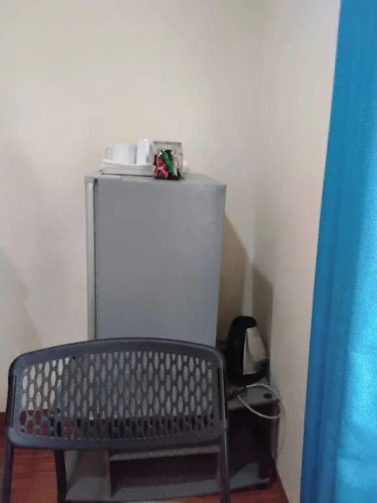 Mini-refrigerator