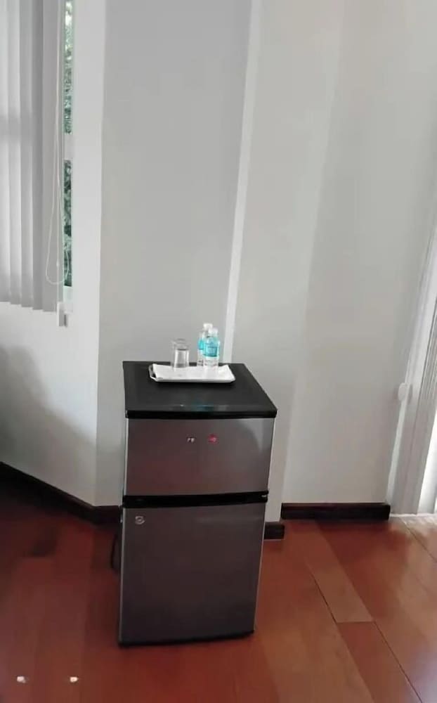 Mini-refrigerator
