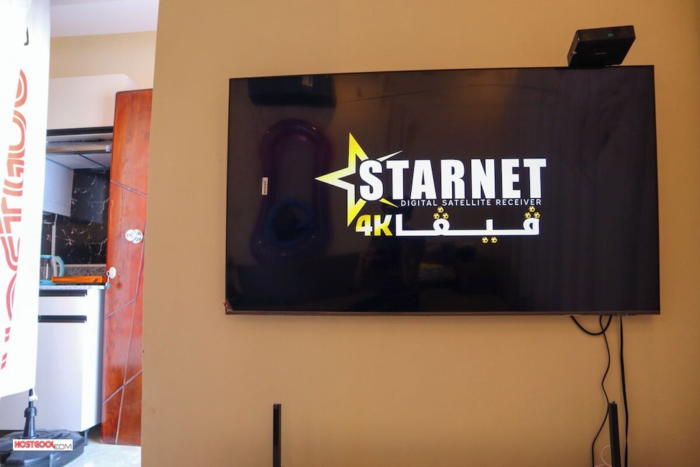 Television