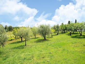 thumbnail: View from property