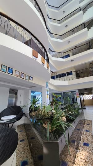 thumbnail: Reception