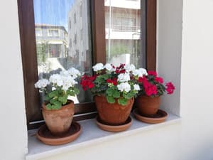 thumbnail: Front of property