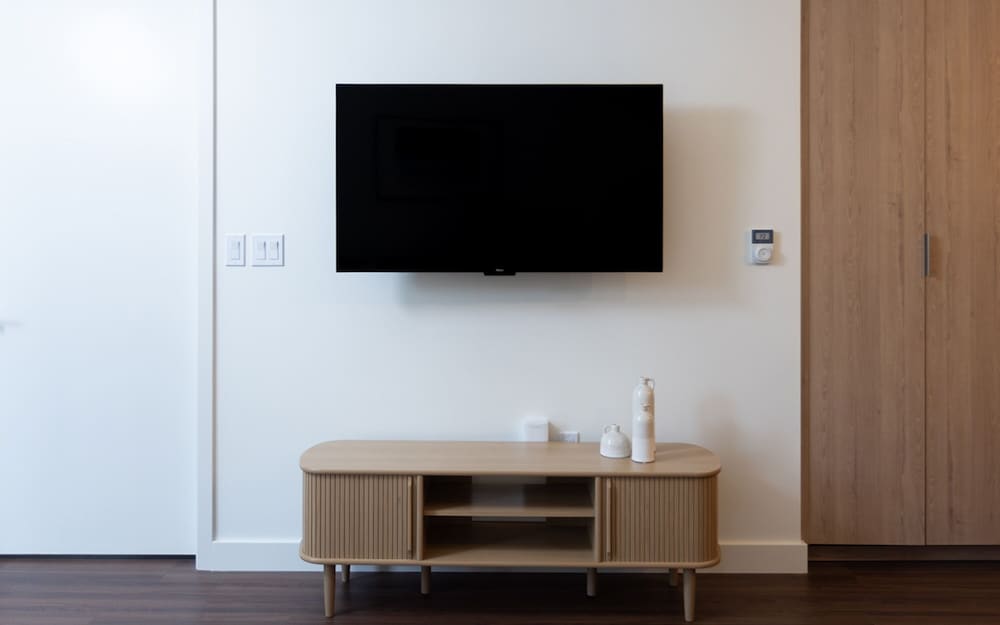 Television