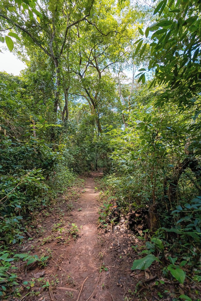 Hiking
