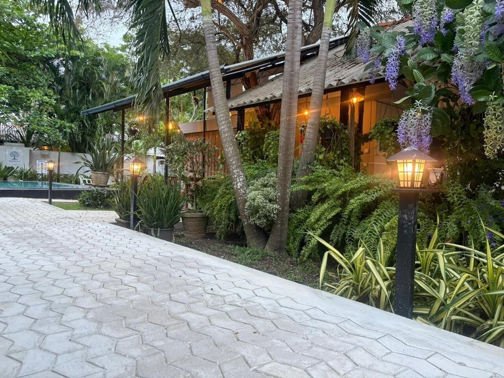 Garden view