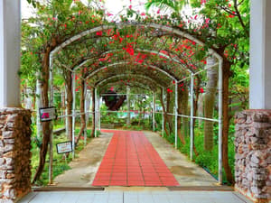 thumbnail: Garden view
