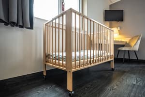 thumbnail: Pet-friendly amenities