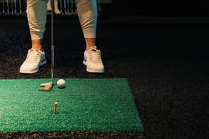 thumbnail: Indoor golf driving range