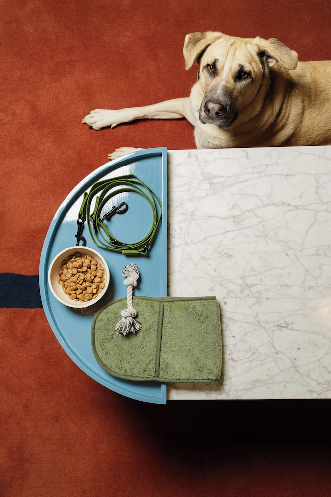 Pet-friendly