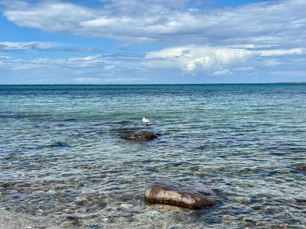 Water view