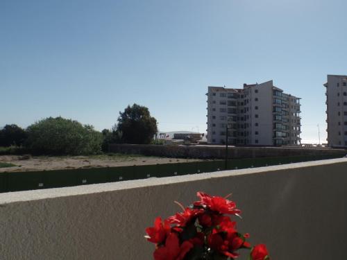 119072157.jpg