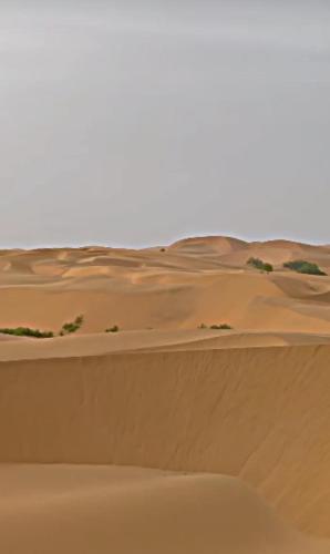 523754509.jpg