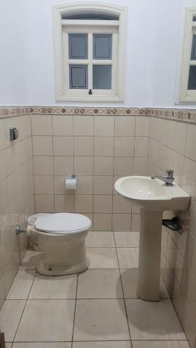 527596779.jpg