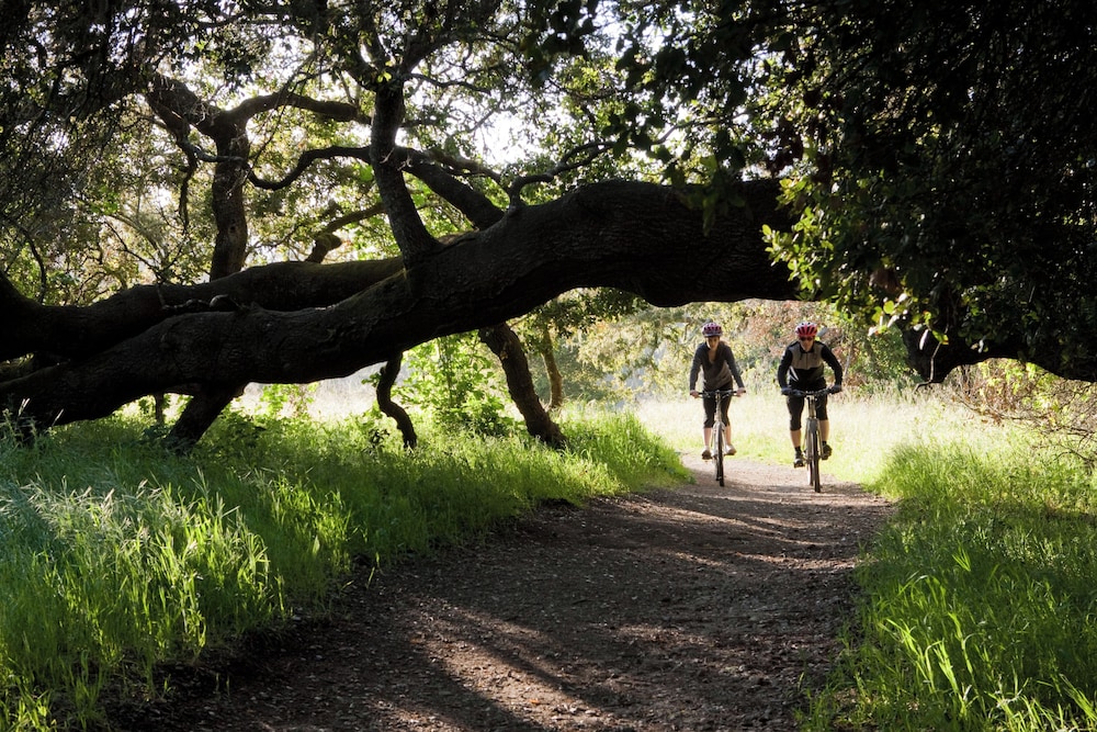 Bicycling