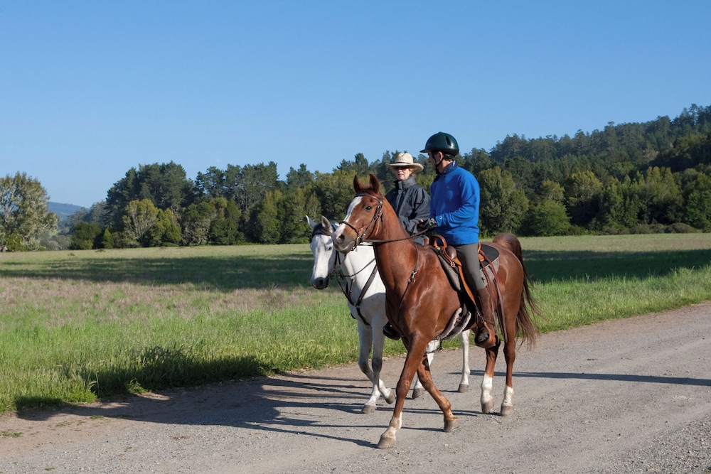 Horseback riding
