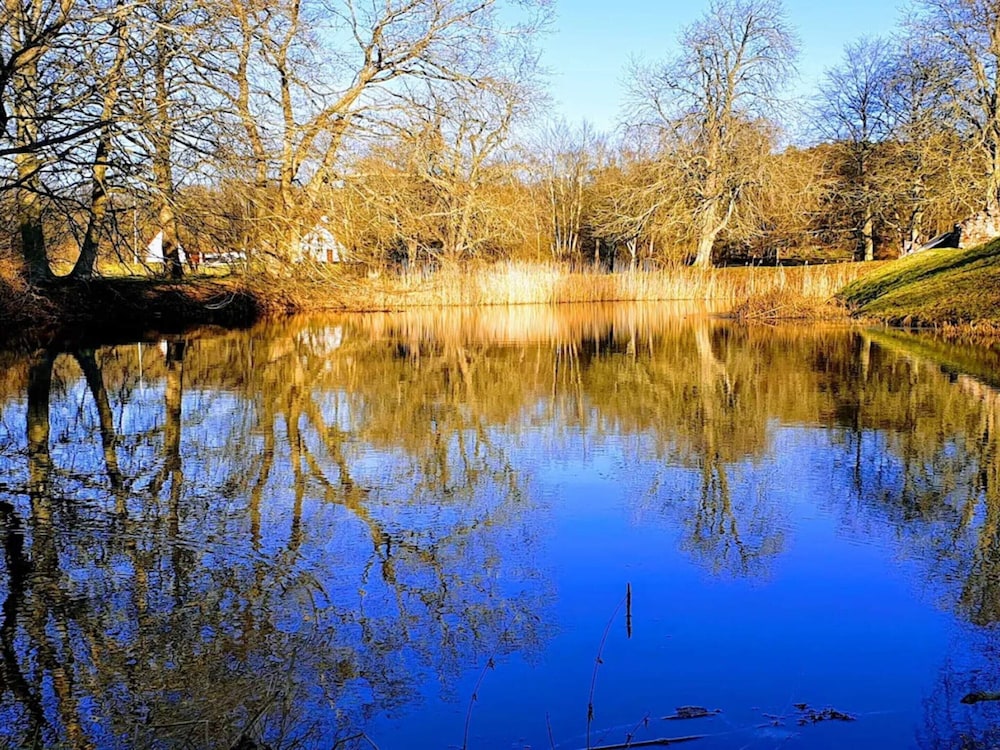 Water view
