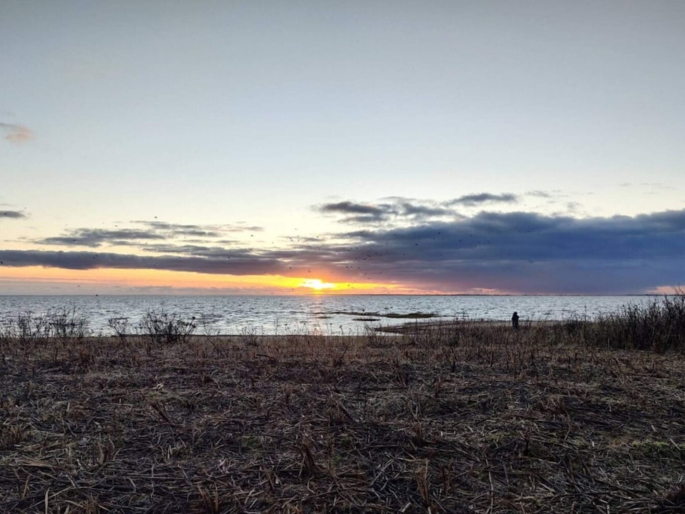 Water view